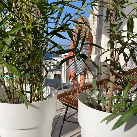 Bed & Breakfast Petra Paura By Srls