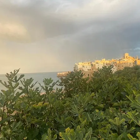 Bed & Breakfast Petra Paura By Srls Polignano a Mare