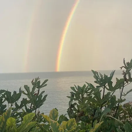 Bed & Breakfast Petra Paura By Srls Polignano a Mare