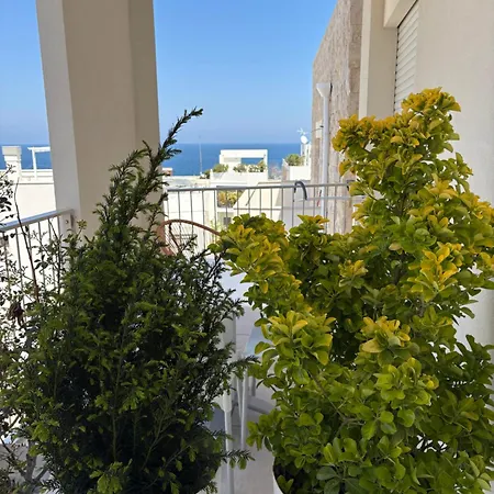 Petra Paura 4*