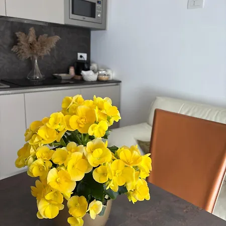 Petra Paura By Srls Bed & Breakfast